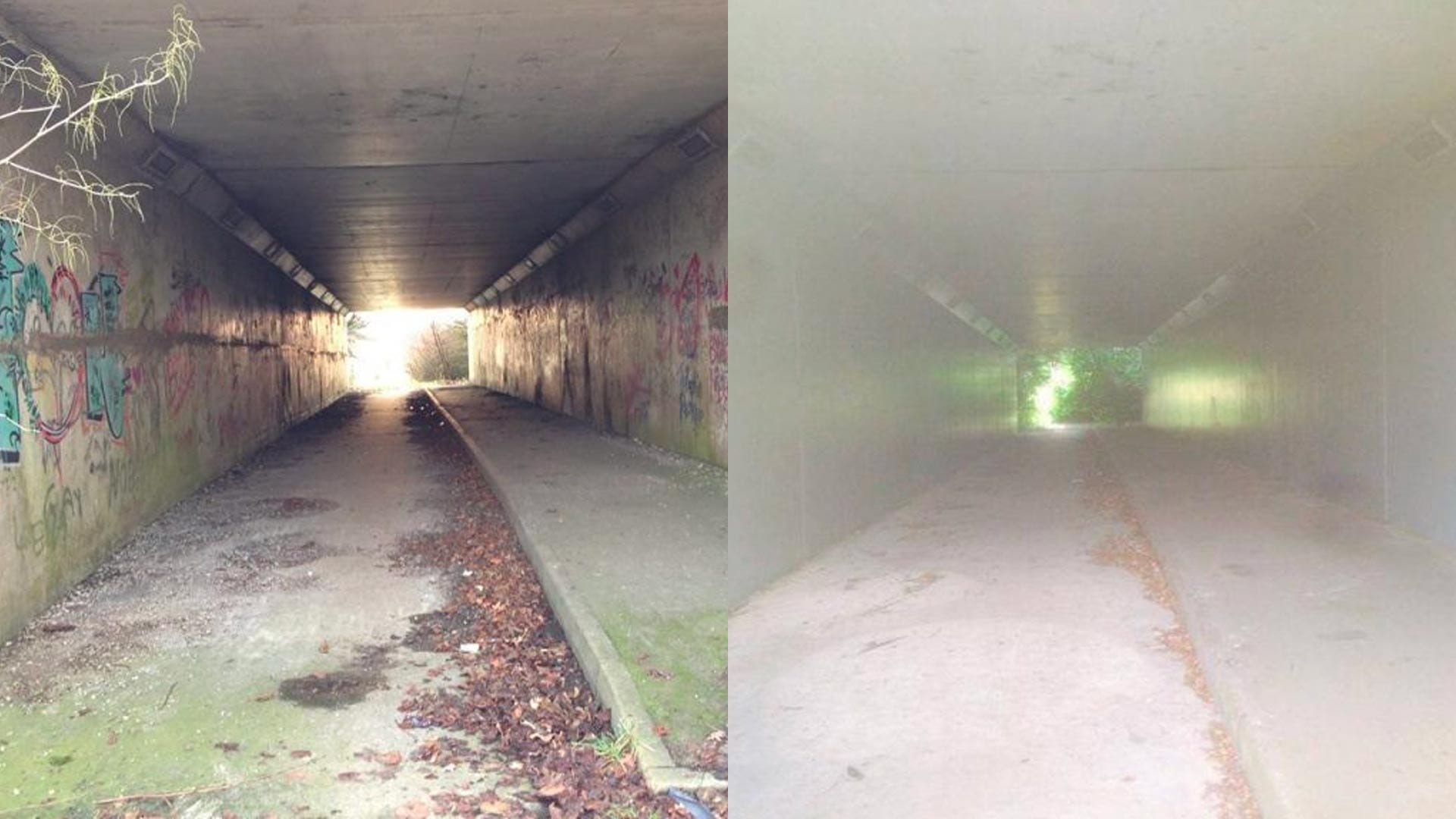 Insultec before after